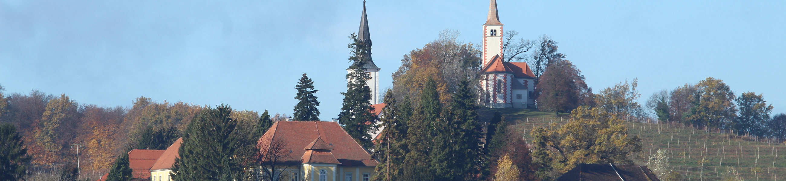 Društvo upokojencev Zavrč