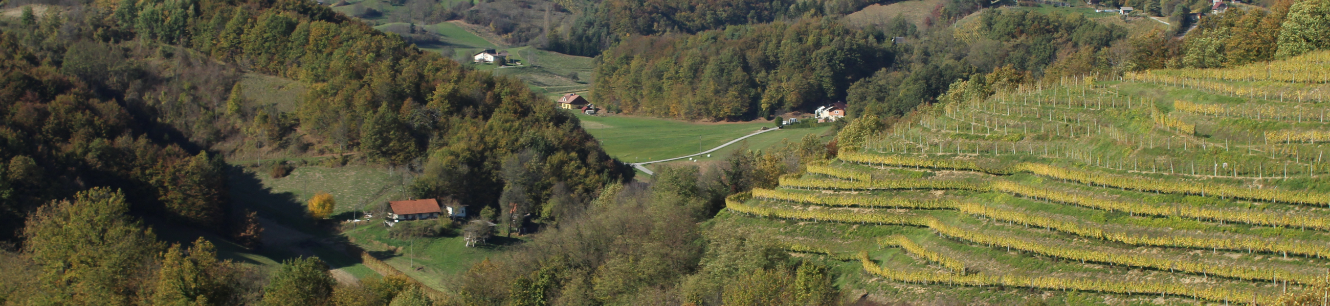 Društvo upokojencev Zavrč